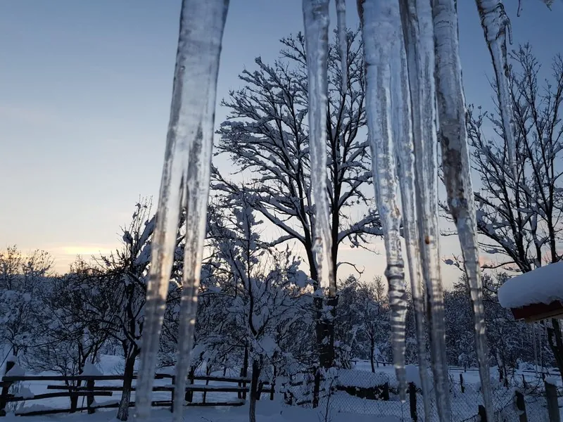 Icicles and snow-covered trees in the guesthouse courtyard
